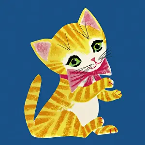 Kitty Prints: Kitten