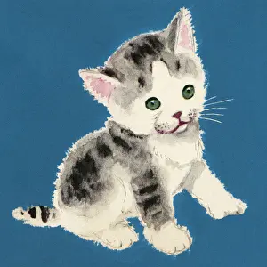 Kitty Prints: Kitten