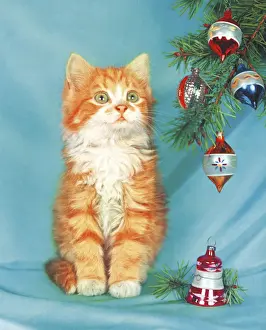 Ilust Prints: Kitten by a Christmas Tree