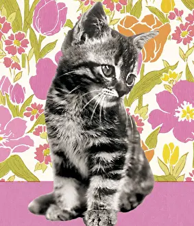 Fluffy Prints: Kitten on a Floral Background