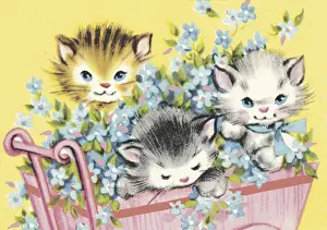 Illustration And Prints: Kittens