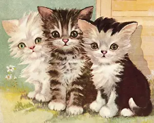 Kitty Prints: Three Kittens