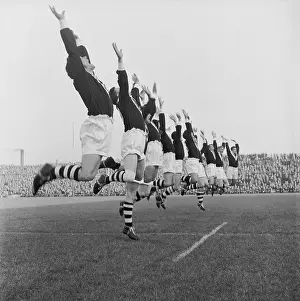 Kiwis In Action