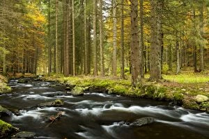 Images Dated 13th October 2014: Kleiner Regen river, autumn, Bavarian Forest National Park, near Fraunau, Bavaria, Germany