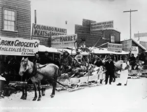 Moose Prints: Klondike Gold Rush Moose Delivery