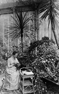 Prints of circa 1890: A Victorian woman knits in the conservatory of her house. (Photo by Hulton Archive/Getty Images) Heritage Images Prints: Knit One Purl One