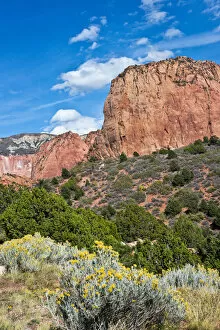 Images Dated 16th October 2015: Kolob Canyon, Zion National Park, Utah, USA