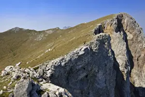 Ecological Conservation Prints: Kom Vasojevicki Mountain, 2461 m