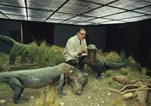 Huty31503 Prints: Komodo Dragon Diorama