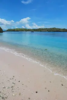 Komodo island Flores
