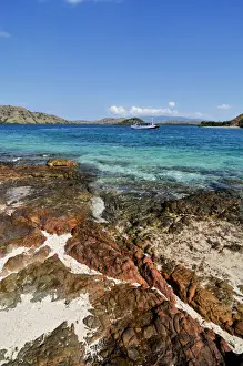 Shallow Prints: Komodo island Flores