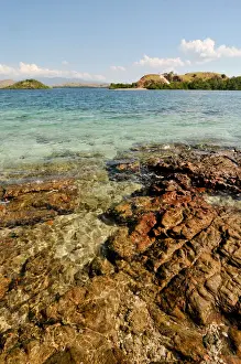 Shallow Prints: Komodo island Flores