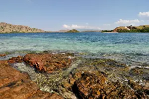 Shallow Prints: Komodo island Flores
