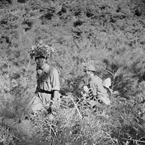 Huty25621 Prints: Korean War, 1953