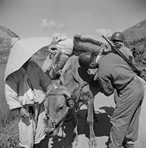 Huty25621 Prints: Korean War, 1953