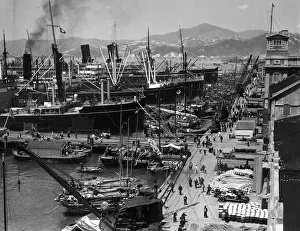 Kowloon docks