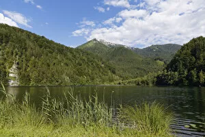 Images Dated 6th July 2014: Krotensee lake with Schafberg, St. Gilgen, Salzkammergut, Salzburg state, Salzburg State, Austria