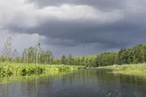 Images Dated 8th August 2012: The Krutynia River near Ruciane-Nida, Warmian-Masurian Voivodeship, Poland
