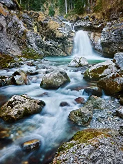 Images Dated 14th November 2010: Kuhflucht