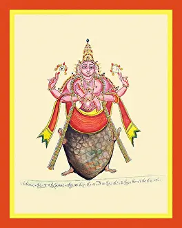 Conch Prints: Kurma, the tortoise