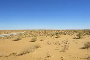 Images Dated 27th September 2013: Kyzyl Kum desert, Uzbekistan