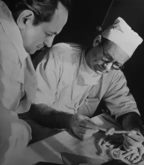 Leningrad Prints: L. Plotkin Working with L. Lebedev