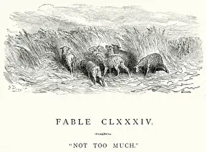 Lost Prints: La Fontaines Fables - Not to Much