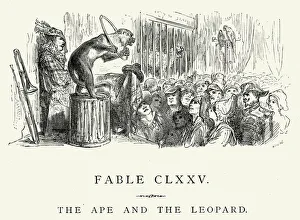 Monkey Collection: La Fontaines Fables - Ape and the Leopard