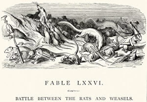 Pest Collection: La Fontaines Fables - Battle bewtween the Rats and Weasels
