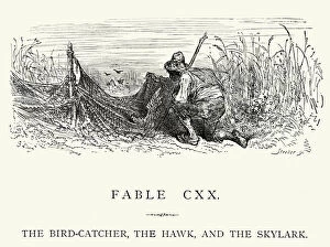 Hunter Gallery: La Fontaines Fables - Bird-Catcher Hawk and the Skylark