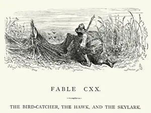 Physical Activity Prints: La Fontaines Fables - Bird-Catcher Hawk and the Skylark