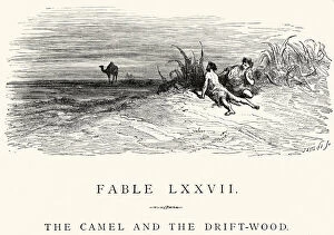 Hoofed Mammal Gallery: La Fontaines Fables - Camel and the Driftwood