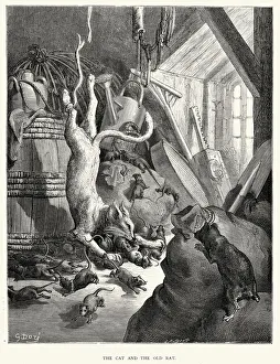 Pest Collection: La Fontaines Fables - Cat and the Old Rat