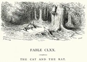 Undomesticated Cat Prints: La Fontaines Fables - Cat and the Rat