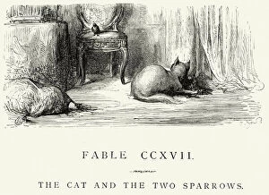 Images Dated 18th December 2014: La Fontaines Fables - Cat and the Two Sparrows