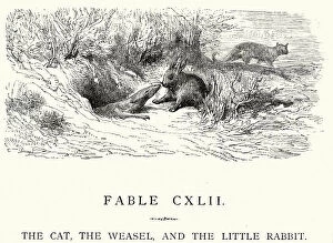 Images Dated 18th December 2014: La Fontaines Fables - Cat Weasel and the Little Rabbit