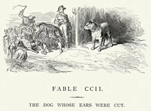 Images Dated 18th December 2014: La Fontaines Fables - Dog whose ears were cut