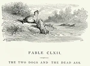 La Fontaines Fables - Two Dogs and the Dead Ass
