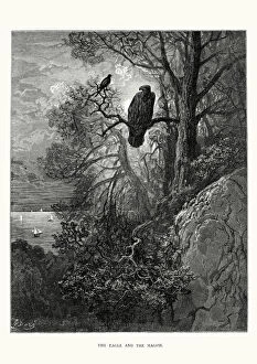 Perching Collection: La Fontaines Fables - Eagle and the Magpie