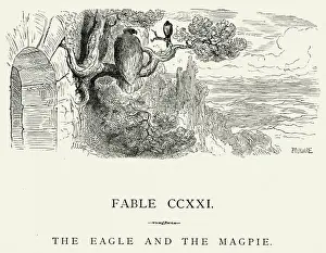Animal Attribute Prints: La Fontaines Fables - Eagle and the Magpie