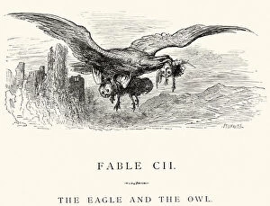 Animal Behavior Gallery: La Fontaines Fables - Eagle and the Owl