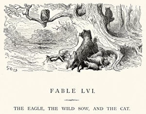 Female Animal Gallery: La Fontaines Fables - Eagle Wild Sow and Cat