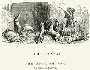 Herd Prints: La Fontaines Fables - The English Fox