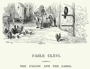 Falconry Prints: La Fontaines Fables - Falcon and the Capon
