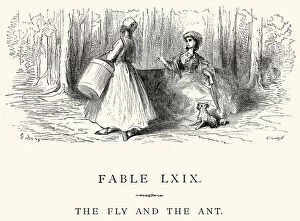 Images Dated 23rd September 2014: La Fontaines Fables - Fly and the Ant