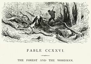 Woods Gallery: La Fontaines Fables - Forest and the Woodman