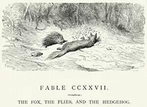 Pest Collection: La Fontaines Fables - Fox Flies and the Hedgehog