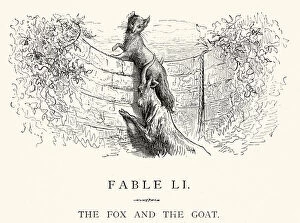 Hoofed Mammal Gallery: La Fontaines Fables - Fox and the Goat