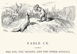 Monkey Collection: La Fontaines Fables - Fox and the Monkey