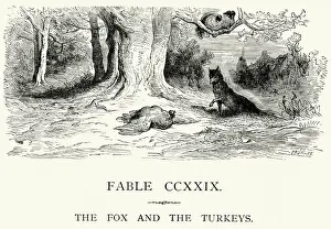 Wild Dog Prints: La Fontaines Fables - Fox and the Turkeys